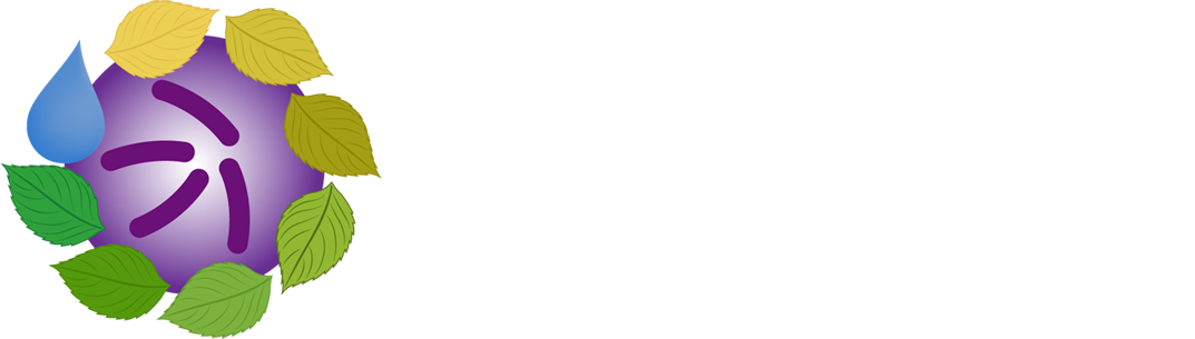 Sun & Earth